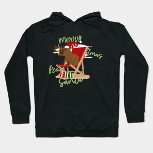 Merry Christmas From Santa Design Hoodie